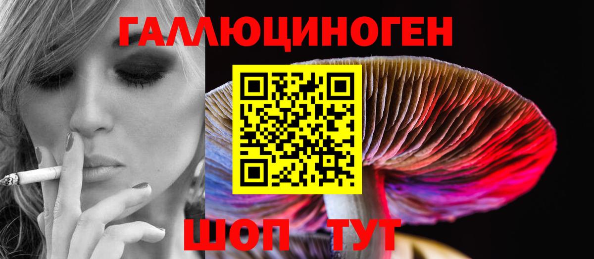 Псилоцибиновые грибы MAGIC MUSHROOMS  Вход с VPN  Псилоцибиновые грибы Psilocybine cubensis  Краснокаменск 